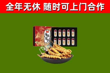 榆阳区回收冬虫夏草价格